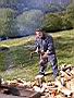 DSCN4584.JPG