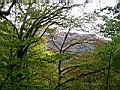 DSCN4597.JPG