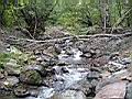 IMG_5200.JPG