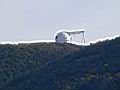 P1050240.JPG