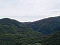 P1050267.JPG